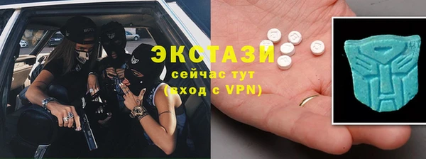 ECSTASY Бородино